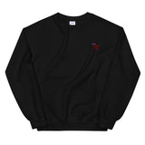 cat  embroidered sweater